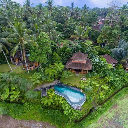 Bed and Breakfast Dewi Tara Haven Payangan Zewnętrze zdjęcie