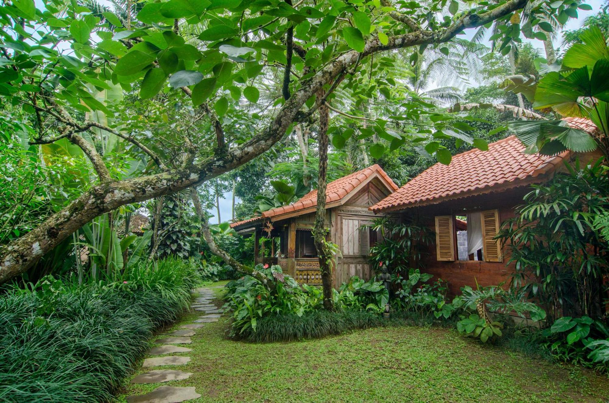 Bed and Breakfast Dewi Tara Haven Payangan Pokój zdjęcie