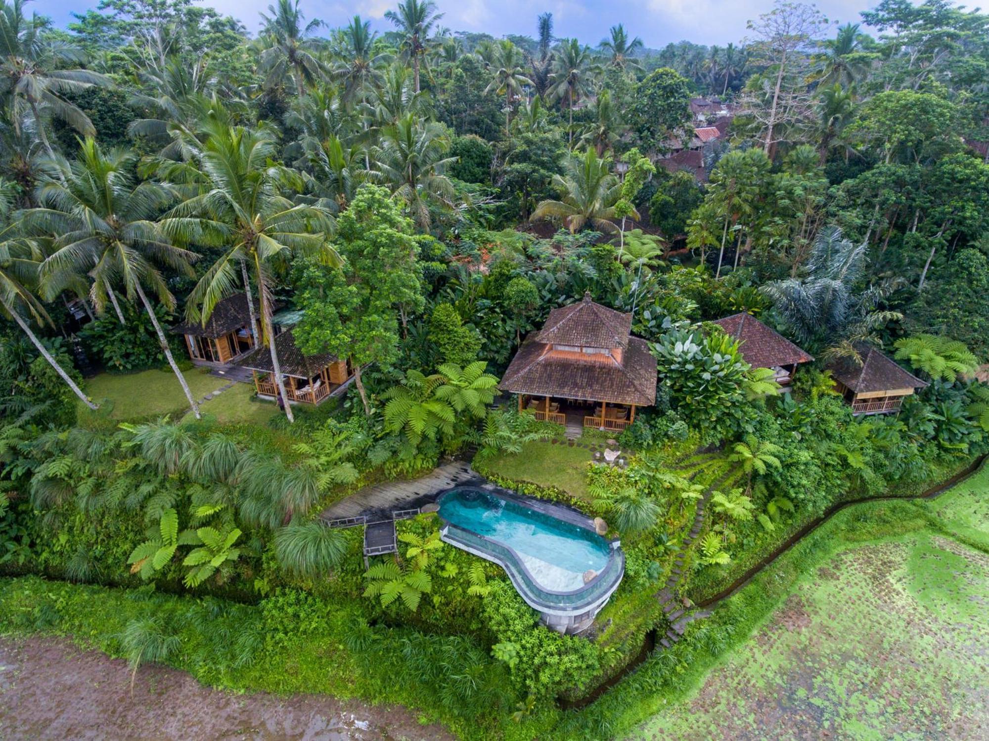 Bed and Breakfast Dewi Tara Haven Payangan Zewnętrze zdjęcie