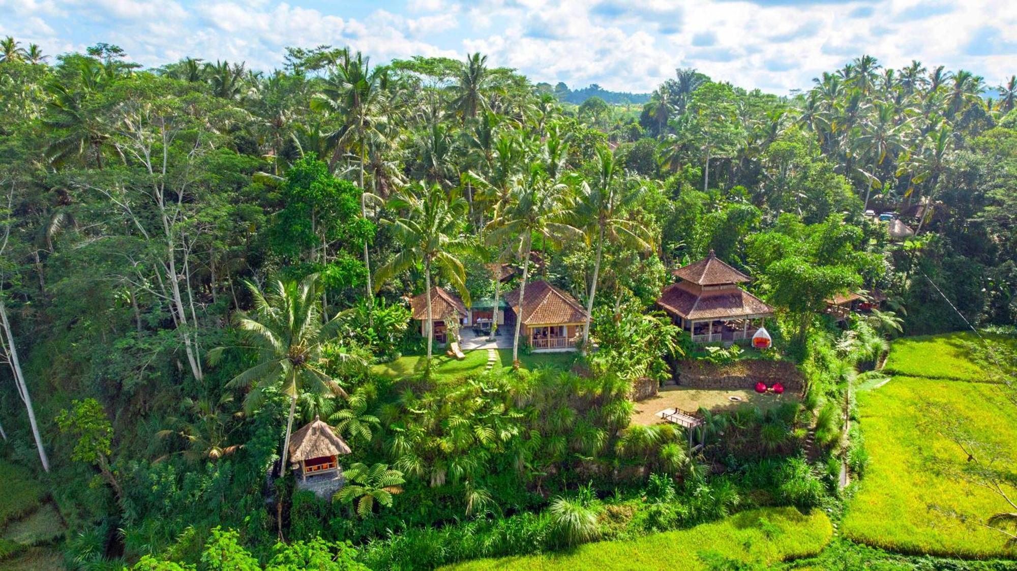 Bed and Breakfast Dewi Tara Haven Payangan Zewnętrze zdjęcie
