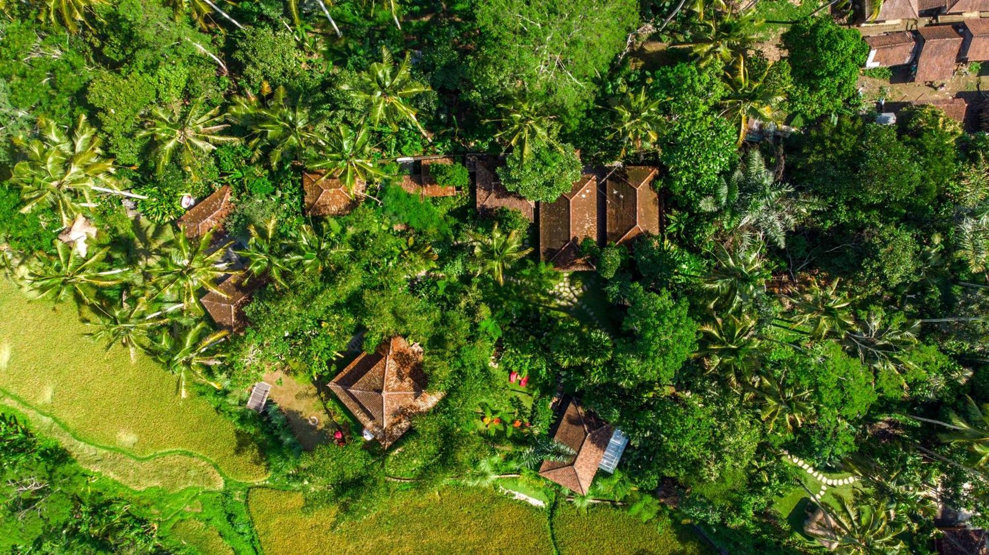 Bed and Breakfast Dewi Tara Haven Payangan Zewnętrze zdjęcie