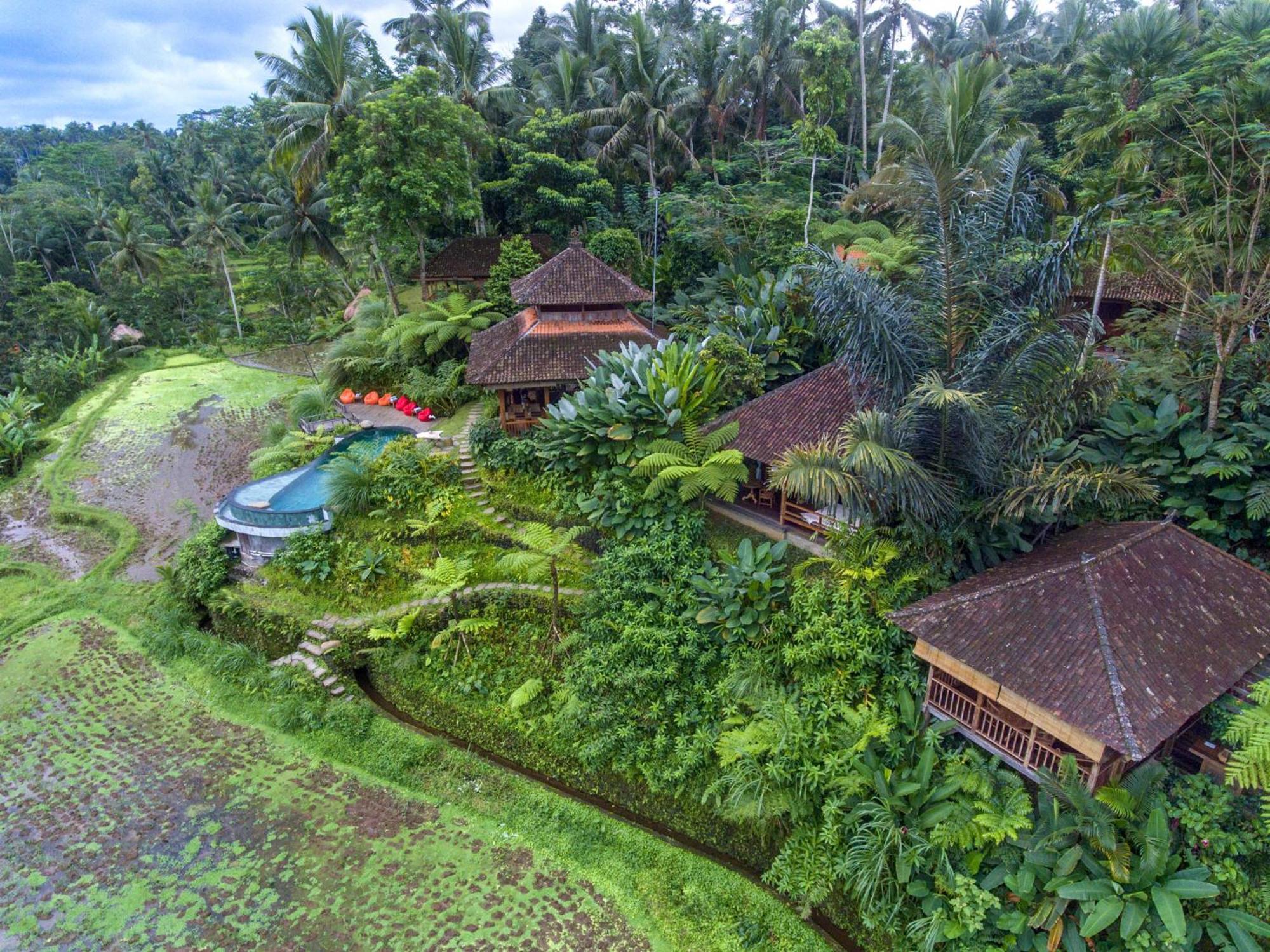 Bed and Breakfast Dewi Tara Haven Payangan Pokój zdjęcie