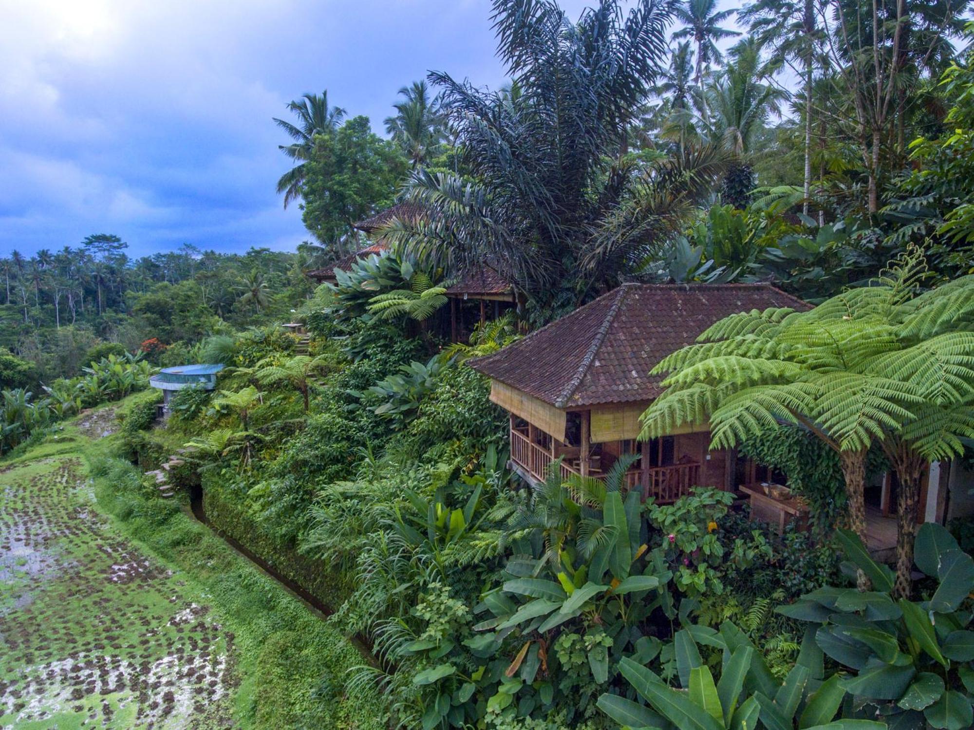 Bed and Breakfast Dewi Tara Haven Payangan Pokój zdjęcie