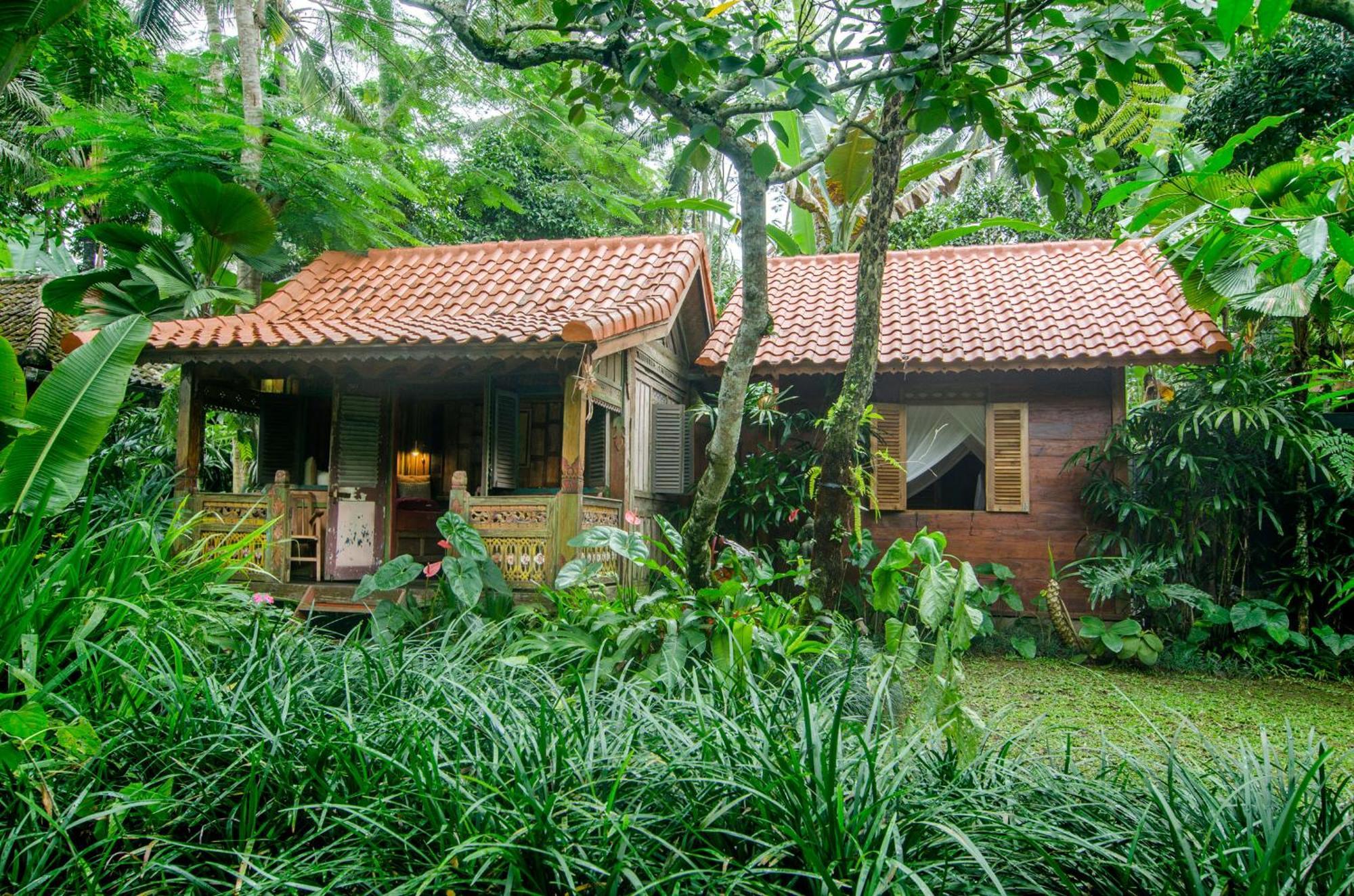 Bed and Breakfast Dewi Tara Haven Payangan Pokój zdjęcie